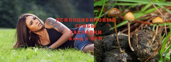 синтетический гашиш Верхний Тагил