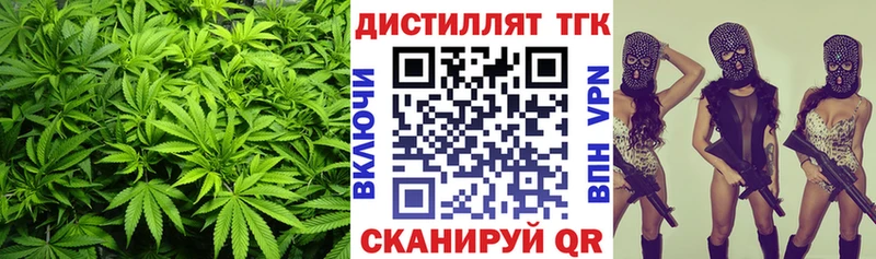 ТГК Wax  где найти   Гатчина 