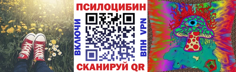 магазин  наркотиков  Гатчина  гидра как войти  Галлюциногенные грибы MAGIC MUSHROOMS 